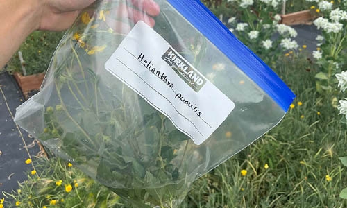 Collecting samples thumbnail