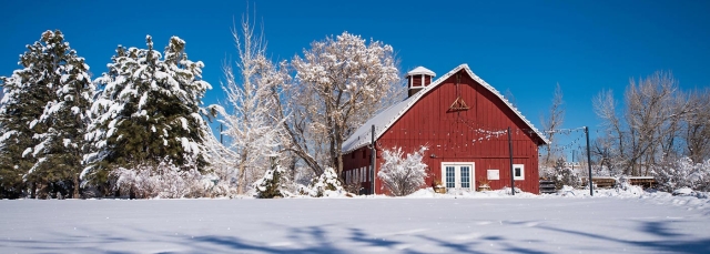 Red barn in the background with a field of snow in the foreground, snow-covered trees and a bright blue sky