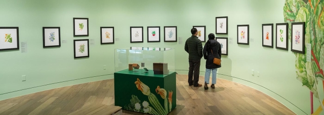 Two people in an art gallery looking at framed artwork