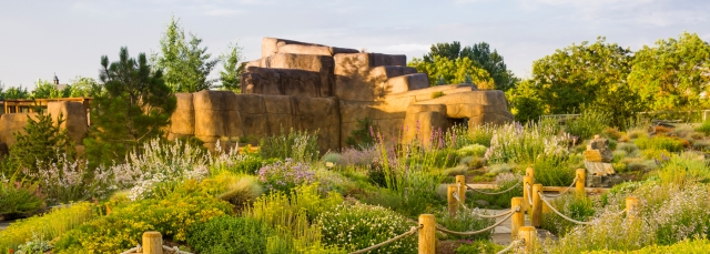 Image of climbing structure at Mordecai Children's Garden