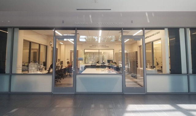 natural history collections