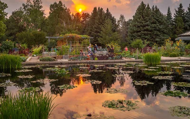 Monet Pool at sunset