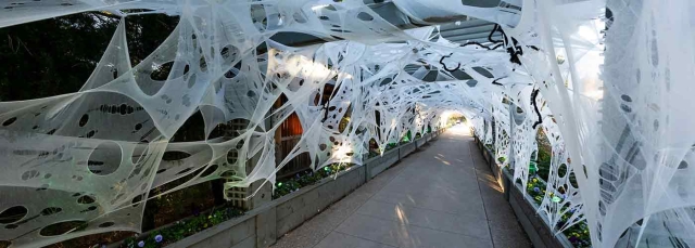 Fake spider webs on an arbor outside during the day.