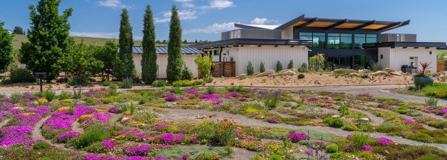 White Welcome Center building in the background with a field of purple and yellow flowers in the foreground
